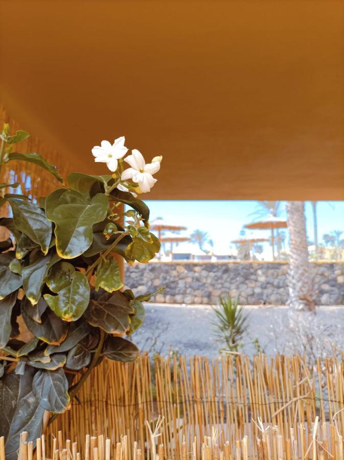 Mai Fuerteventura Apartment Corralejo Exterior foto